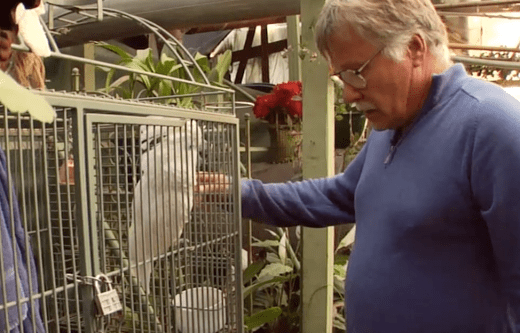 Screen Shot 2014-02-05 at 11.54.00 AM